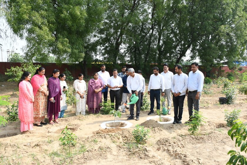 Emphasis on the importance of forestry by planting trees