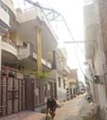 Ward-5 needs development work, public is troubled by stray animals