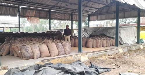 Despite efforts, wheat procurement is not picking up pace