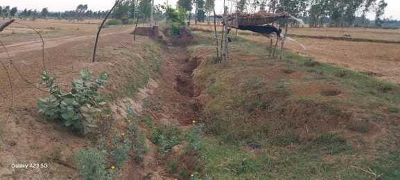 In Jaitipur, the canals are thirsty... the hope of irrigation remains unfulfilled