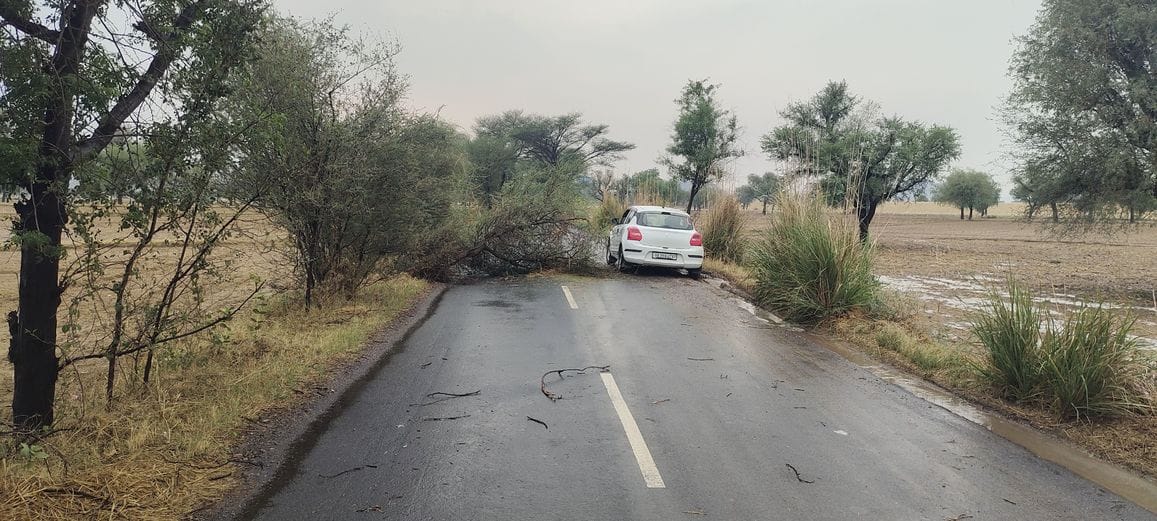 Tree fell on road due to storm, traffic disrupted
