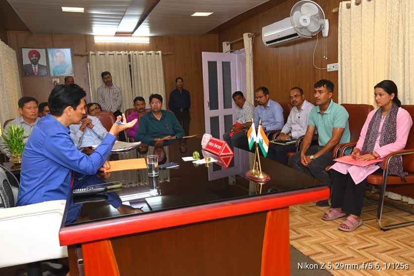 Instructions to investigate illegal felling of rosewood and teak trees