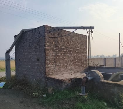 Tree fell on the side of Murthal Road due to storm, 12 pillars broken