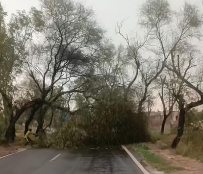 The storm came as a disaster, trees broke, poles fell...electricity went off