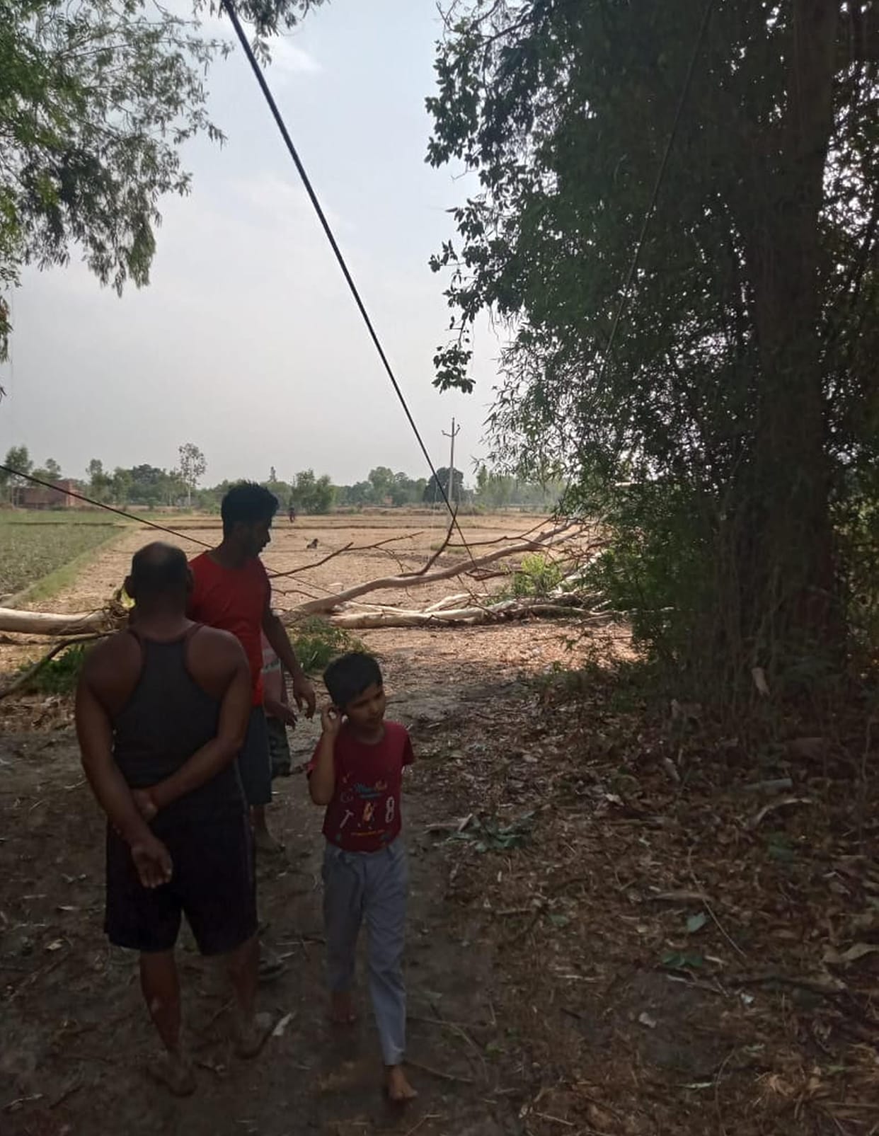 Tree branches fell on wires, power supply to 50 villages disrupted