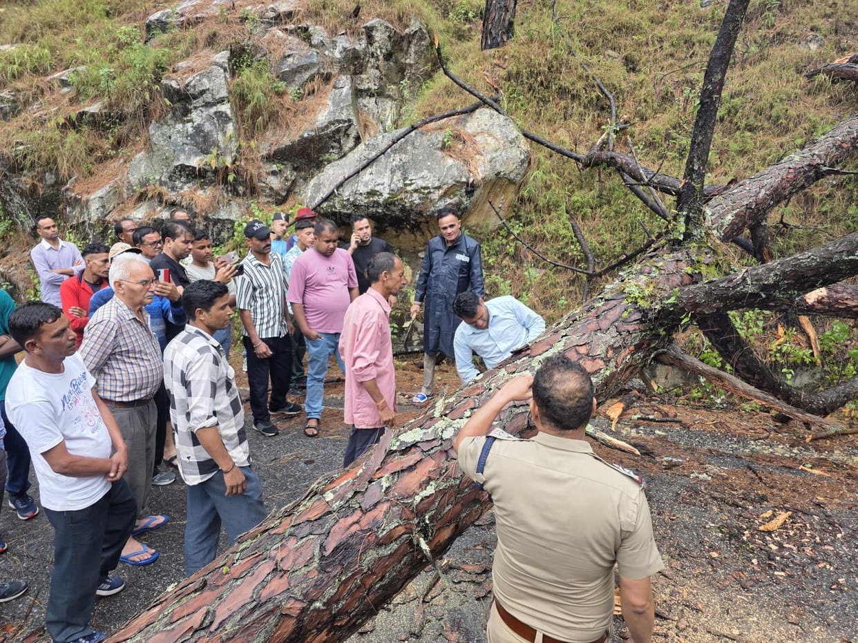 Thal-Bedinagar road was blocked for 45 minutes due to falling of tree