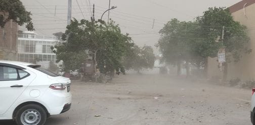 Flax, hoardings, broken trees and electric poles blown away in the storm
