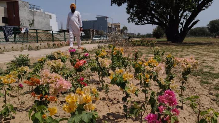 Five ultramodern theme parks including Rose Garden and Fragrance Garden will be built in IT City
