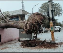 More than 60 poles fell in the storm, power supply was restored by Monday evening