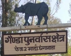 51 rhinoceroses in 41 years, rhino project at peak of success