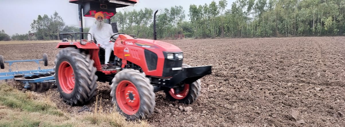 Rain is becoming a boon for the fields