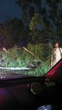 Traffic affected by falling trees due to power outage due to storm amid rain