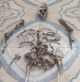 Human skeleton found on the river bank, case of Devlond police station area, police engaged in investigation