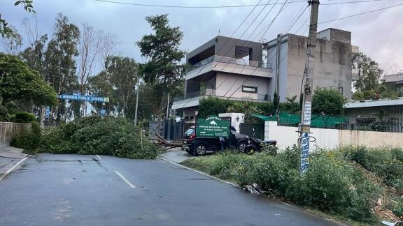 The storm showed its fierce form, wreaked havoc on trees and pillars
