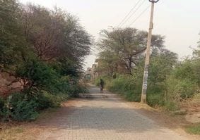 Pindara feeder breaks down due to storm, 12 poles broken