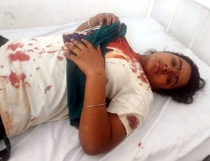 Leopard entered the house and attacked mother and daughter
