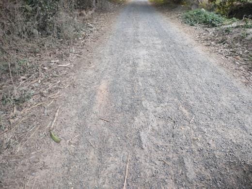 Budget received for 50 roads, most of them are in bad condition