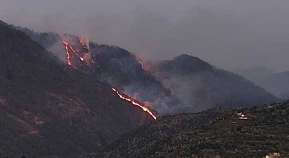 Fire broke out in Farson and Bisra Khet, one hectare of forest burnt