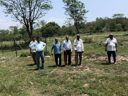 Wild animals will not be able to destroy crops in Kotharli