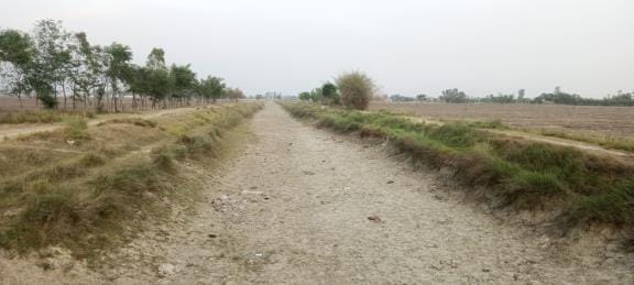 Canals and ponds dry up, drinking water crisis for animals