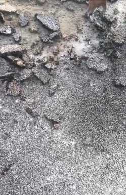 Jheena-Chambi Road, Tarring-Metling Work, Rohru, Chaupal