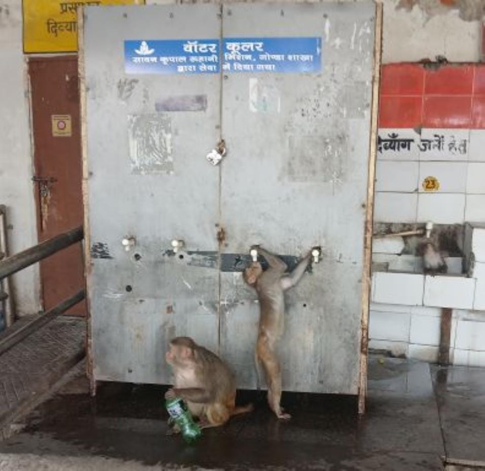 Temperatures reached 42.8 degrees, heat scorched people