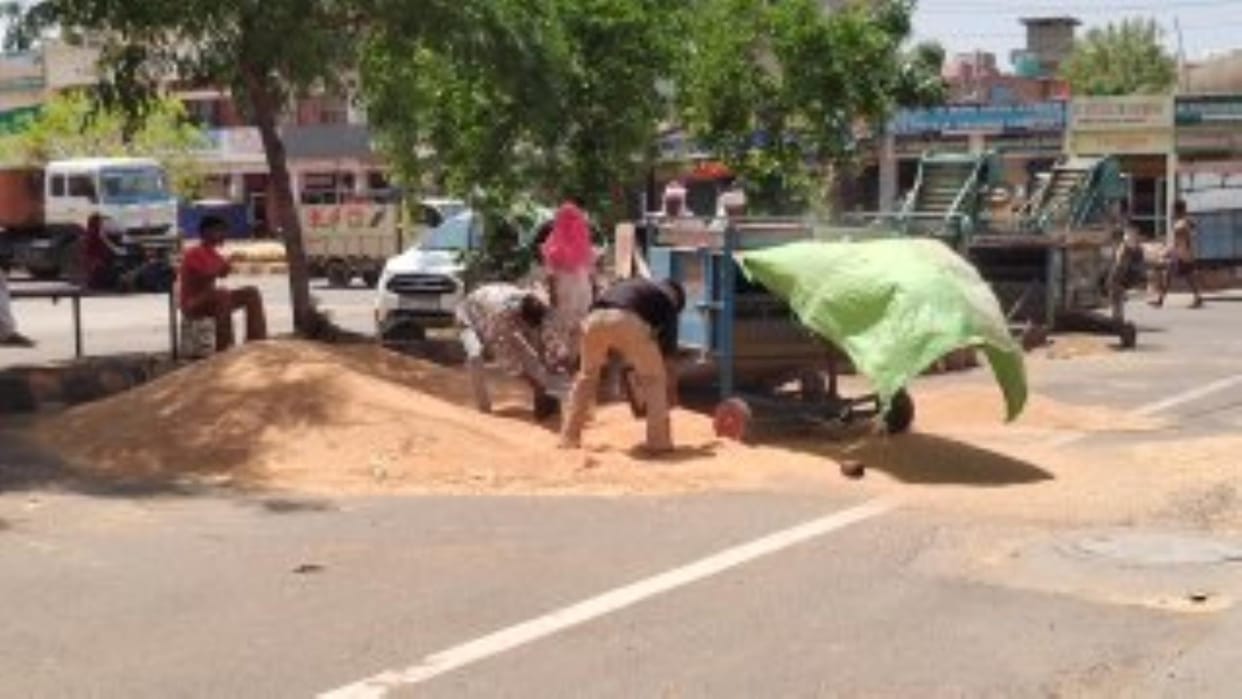 So far, 8 lakh 20 thousand 133 metric tonnes of wheat has been purchased in the district