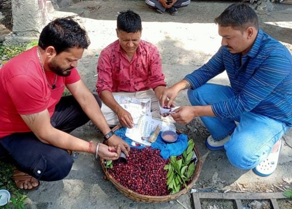 Kafal is being sold at Rs 400 per kg in Bageshwar