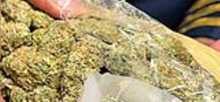 Ganja worth Rs 4 crore seized from Thai women at airport