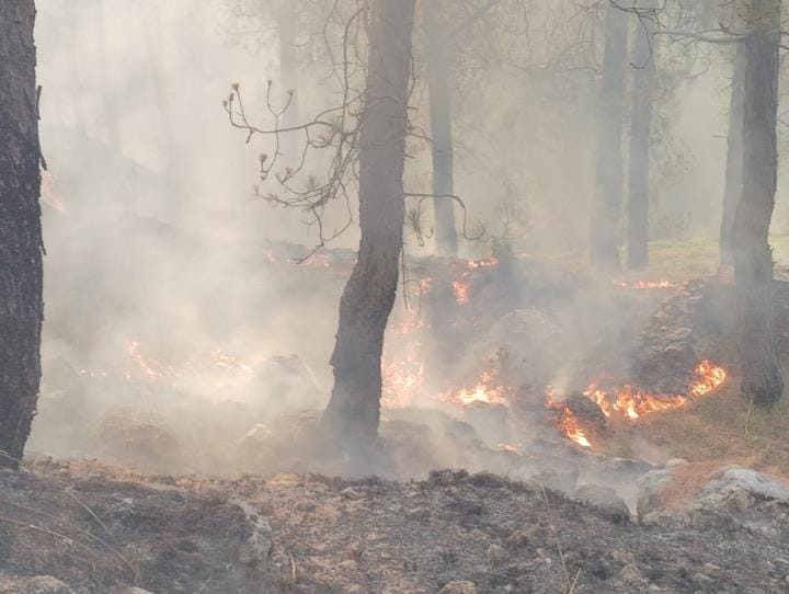 Forest fire in Kabhra of Kathupudachina, forest wealth damaged