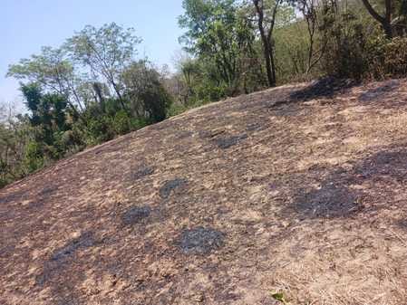 The fire reduced wheat crops, lemon and mango orchards along with Khair plants to ashes