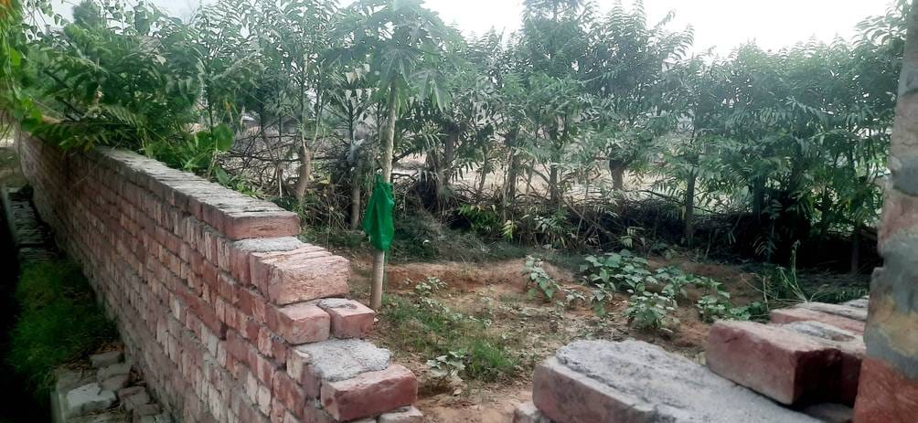 Even after spending 25 lakhs, the boundary wall of the park is broken, the lights are not working