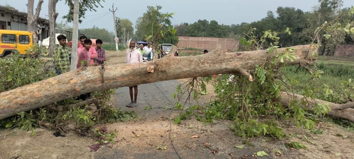 Rain accompanied by storm, teenager died due to lightning