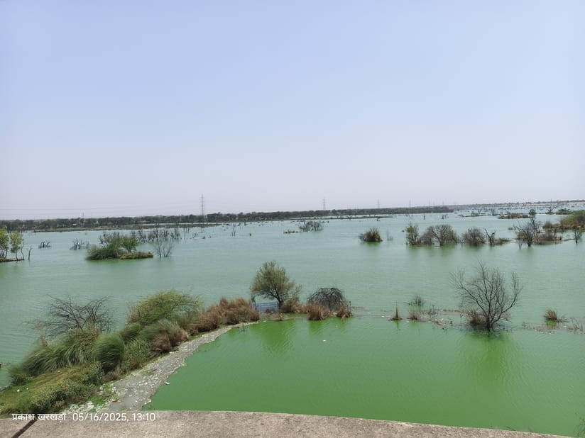 Now the hearing on the file related to the Sahib river in NGT is on 26th, the government gave a postal reply