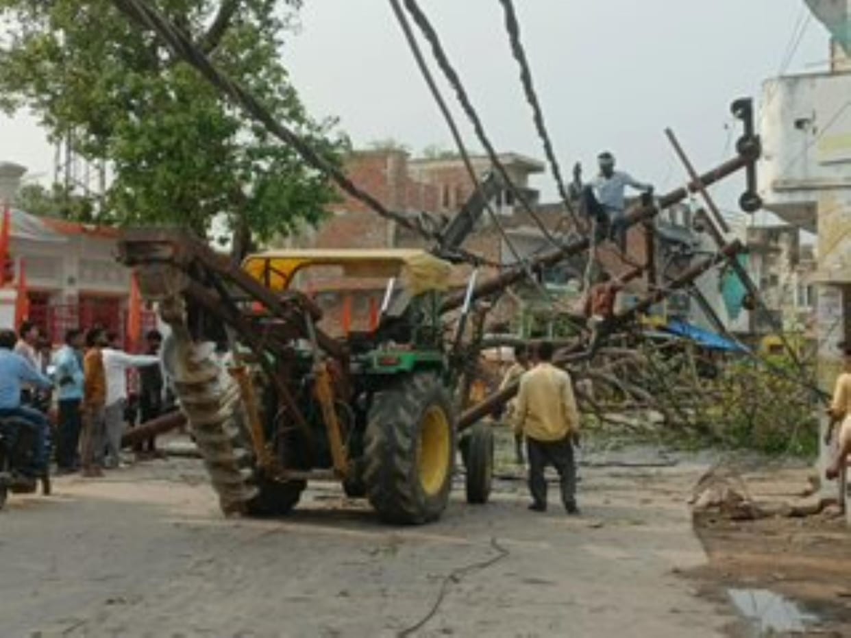 Peepal tree fell due to storm, electricity supply of 1500 houses was disrupted