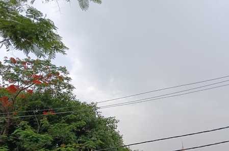 Relief from strong wind and drizzle in the morning, sunshine troubled in the afternoon