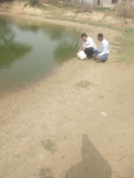 To control dengue and malaria, Gambusia fish were released in 599 ponds of the district