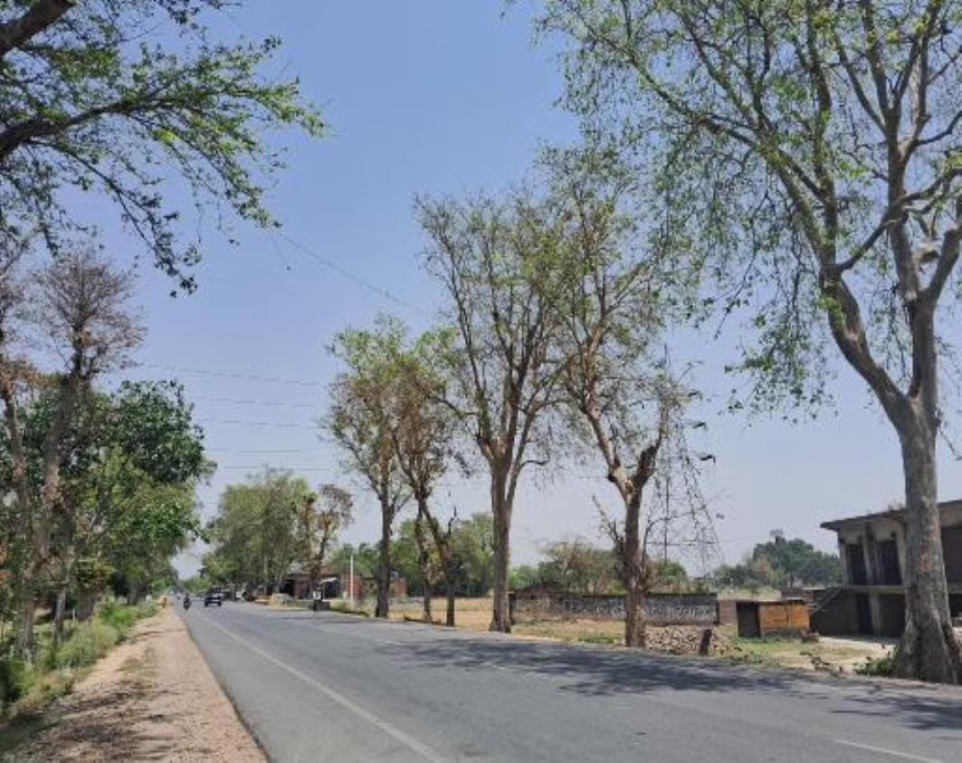 Humidity increased due to Purva wind, no relief even at night