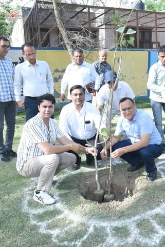 Public Health Department will plant 10 thousand saplings in the district