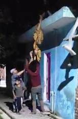 Husband's brutality... Wife brutally beaten, hung upside down from the ceiling
