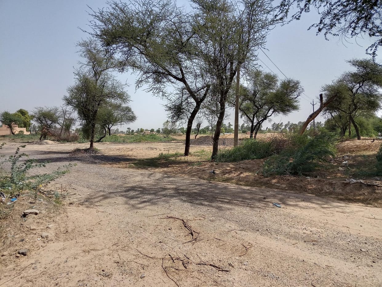 Five thousand plants will be planted in 25 acres of land in Mehuwala, medicinal forest will be built in five acres