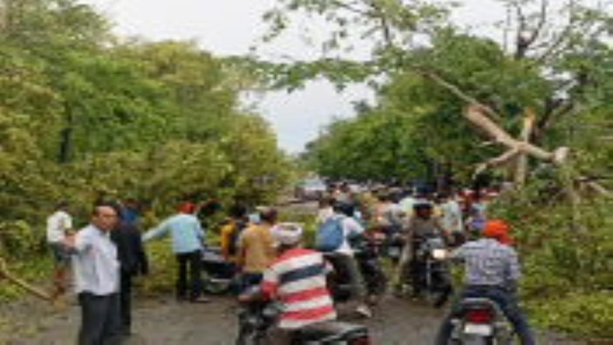 Electricity was blown away in the cyclone... travel came to a halt on the roads