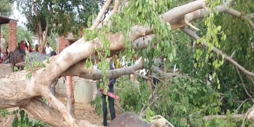 Pandal collapsed in storm and rain, 10 people injured