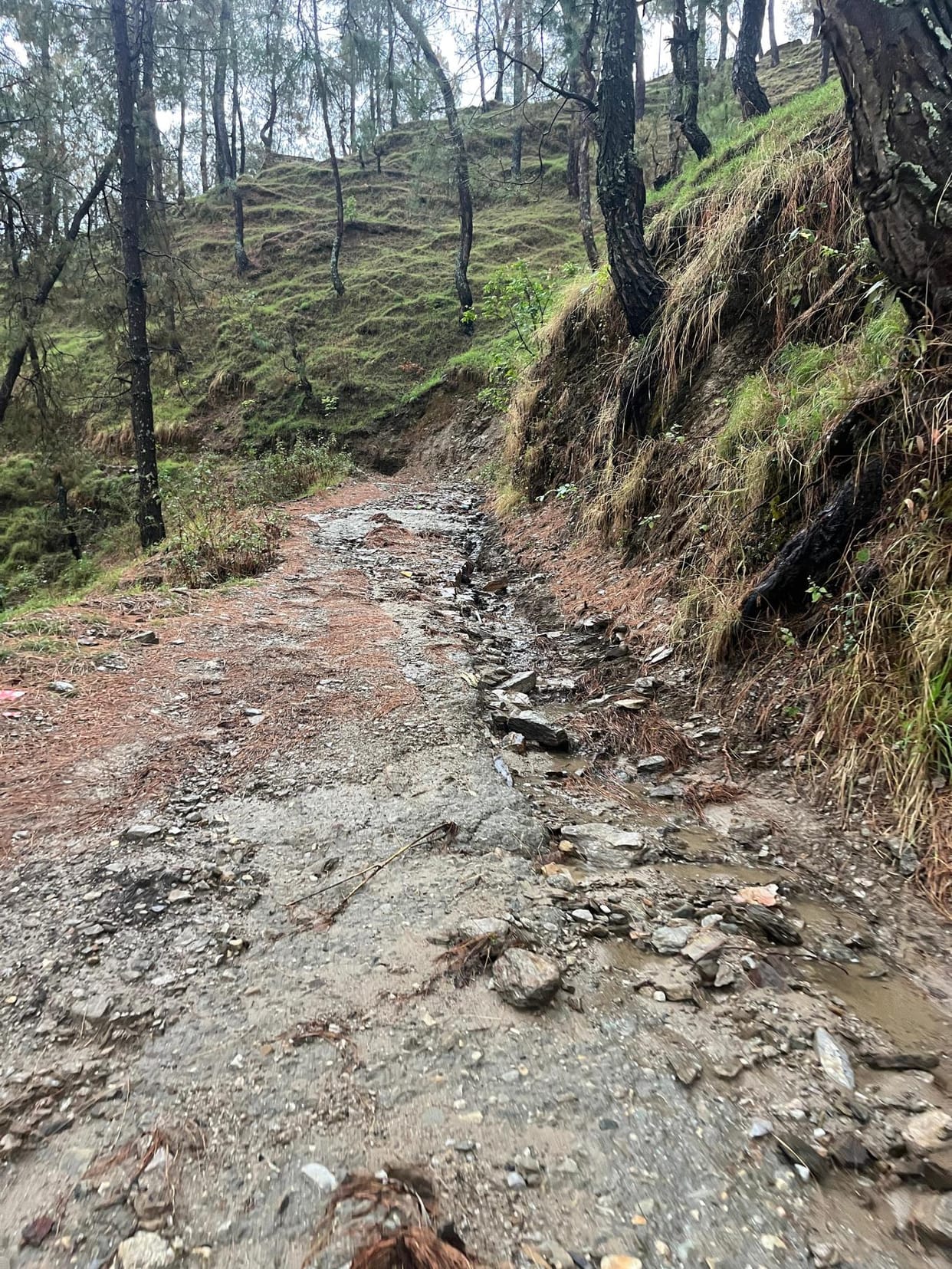 18 km road was built but 900 meters were left in bad condition