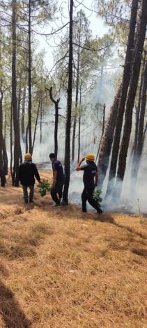 The fire service's intelligence prevented the fire from reaching the population