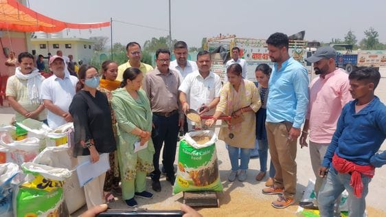 200 quintals of wheat prepared through natural farming were purchased from 24 farmers