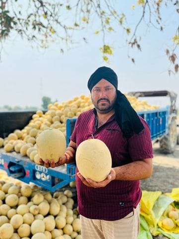 Antarjit grew a melon weighing three and a half kilos
