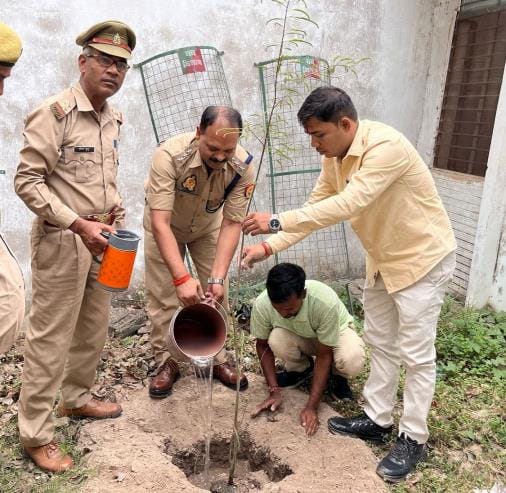 They took an oath to protect the trees and plants by planting them