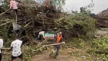Storm wreaks havoc, two killed as tree falls on truck, roofs of houses also blown away