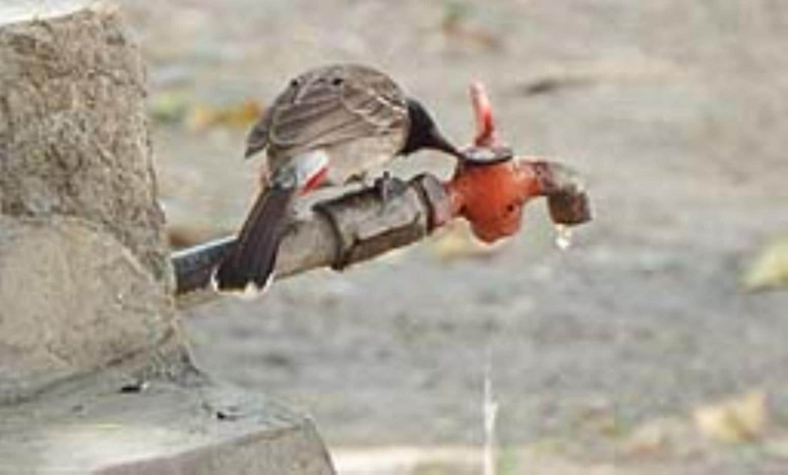 सांकेतिक फोटो